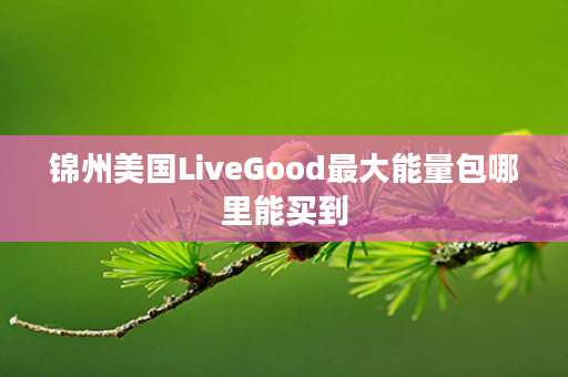 锦州美国LiveGood最大能量包哪里能买到