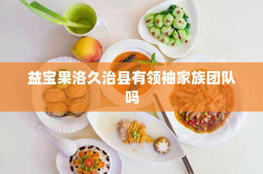 益宝果洛久治县有领袖家族团队吗