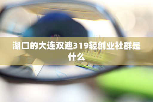 湖口的大连双迪319轻创业社群是什么
