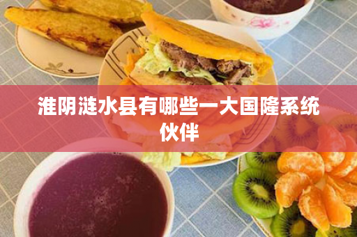 淮阴涟水县有哪些一大国隆系统伙伴