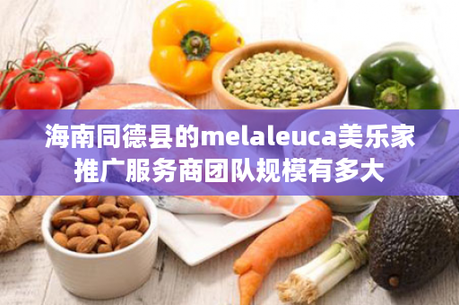 海南同德县的melaleuca美乐家推广服务商团队规模有多大
