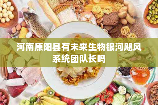 河南原阳县有未来生物银河飓风系统团队长吗
