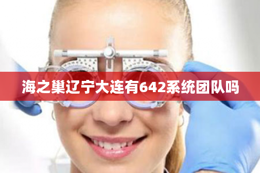 海之巢辽宁大连有642系统团队吗