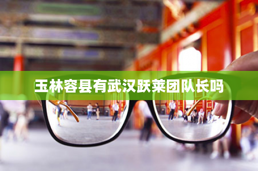 玉林容县有武汉跃莱团队长吗