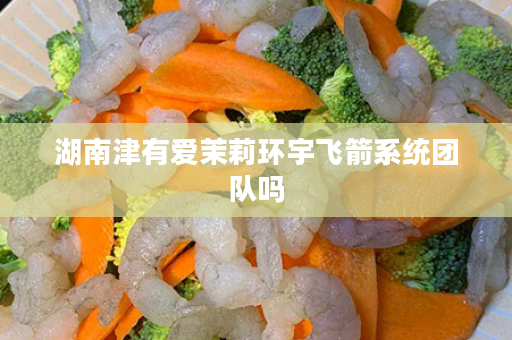 湖南津有爱茉莉环宇飞箭系统团队吗