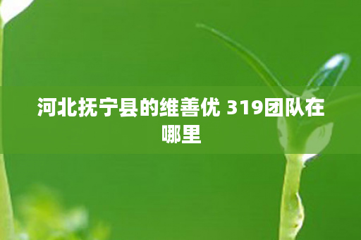 河北抚宁县的维善优 319团队在哪里