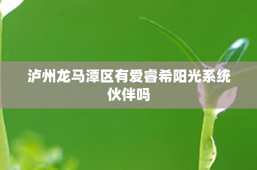 泸州龙马潭区有爱睿希阳光系统伙伴吗