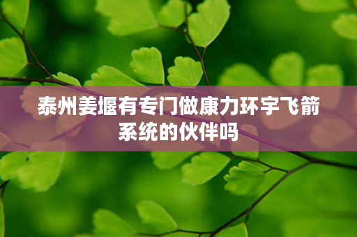 泰州姜堰有专门做康力环宇飞箭系统的伙伴吗