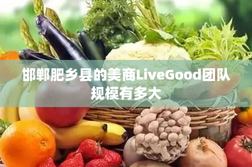 邯郸肥乡县的美商LiveGood团队规模有多大