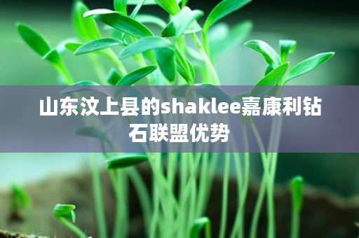 山东汶上县的shaklee嘉康利钻石联盟优势