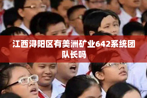 江西浔阳区有美洲矿业642系统团队长吗
