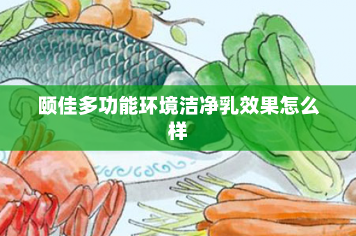 颐佳多功能环境洁净乳效果怎么样