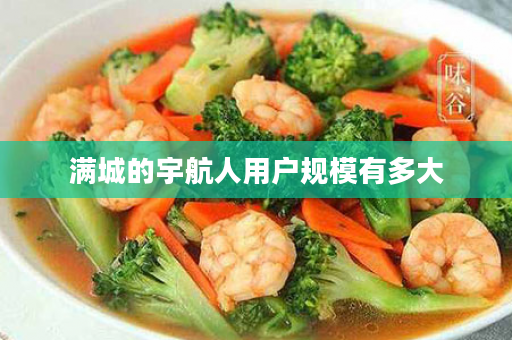 满城的宇航人用户规模有多大