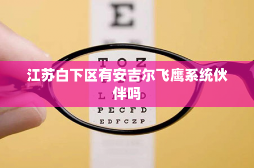 江苏白下区有安吉尔飞鹰系统伙伴吗