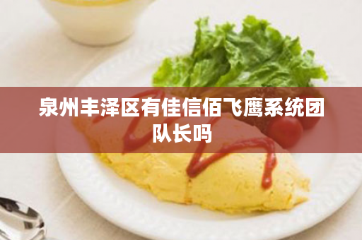 泉州丰泽区有佳信佰飞鹰系统团队长吗
