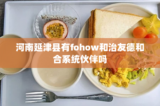 河南延津县有fohow和治友德和合系统伙伴吗