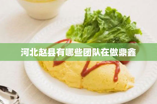 河北赵县有哪些团队在做鼎鑫