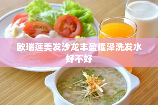 欧瑞莲美发沙龙丰盈耀泽洗发水好不好