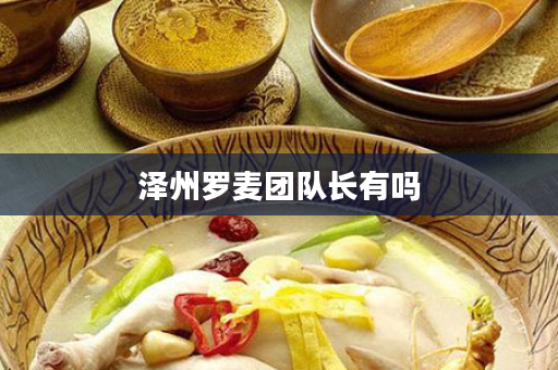 泽州罗麦团队长有吗