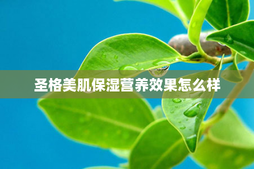 圣格美肌保湿营养效果怎么样