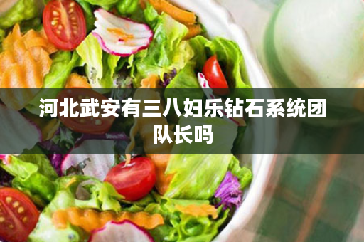 河北武安有三八妇乐钻石系统团队长吗