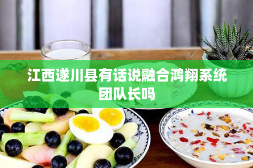 江西遂川县有话说融合鸿翔系统团队长吗