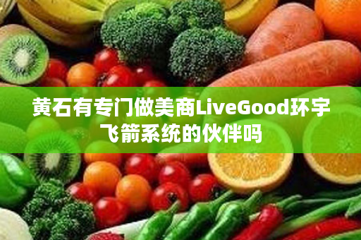 黄石有专门做美商LiveGood环宇飞箭系统的伙伴吗