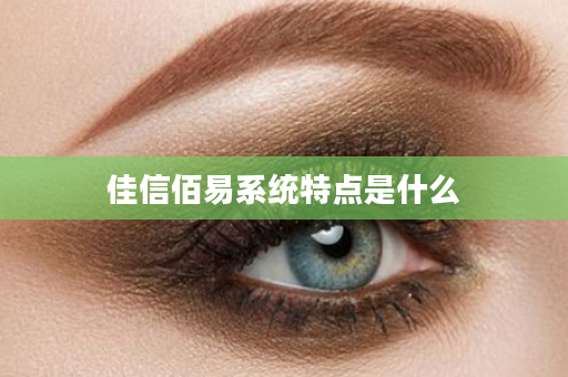 佳信佰易系统特点是什么