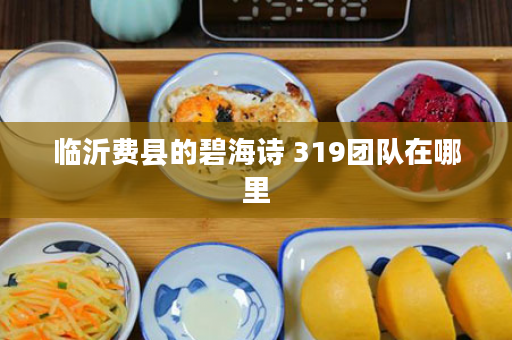 临沂费县的碧海诗 319团队在哪里