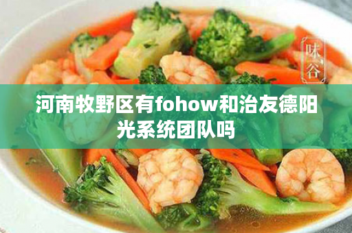 河南牧野区有fohow和治友德阳光系统团队吗