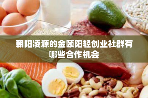 朝阳凌源的金颐阳轻创业社群有哪些合作机会