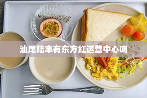 汕尾陆丰有东方红运营中心吗