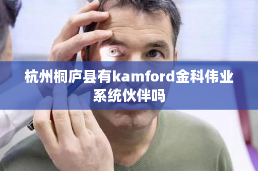 杭州桐庐县有kamford金科伟业系统伙伴吗