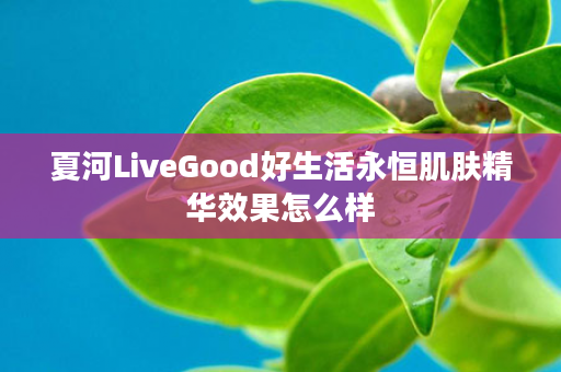 夏河LiveGood好生活永恒肌肤精华效果怎么样