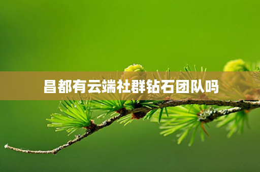 昌都有云端社群钻石团队吗
