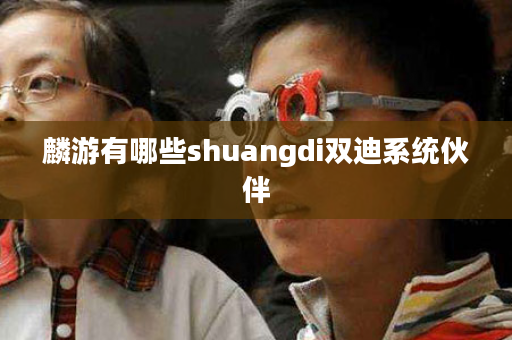 麟游有哪些shuangdi双迪系统伙伴