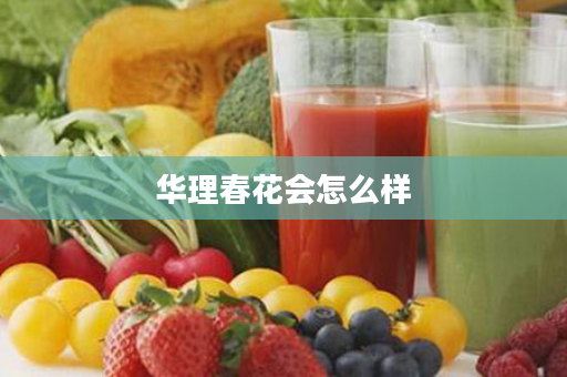 华理春花会怎么样