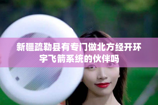 新疆疏勒县有专门做北方经开环宇飞箭系统的伙伴吗