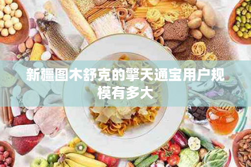 新疆图木舒克的擎天通宝用户规模有多大