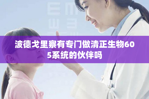 波德戈里察有专门做清正生物605系统的伙伴吗