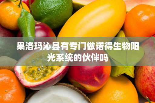 果洛玛沁县有专门做诺得生物阳光系统的伙伴吗