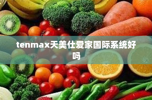 tenmax天美仕爱家国际系统好吗