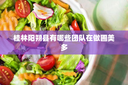 桂林阳朔县有哪些团队在做圃美多