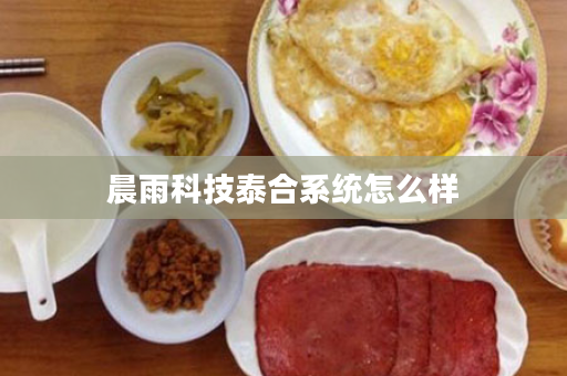 晨雨科技泰合系统怎么样