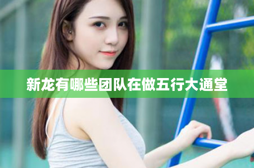 新龙有哪些团队在做五行大通堂