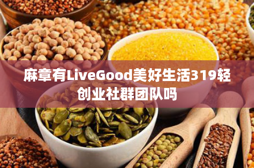 麻章有LiveGood美好生活319轻创业社群团队吗