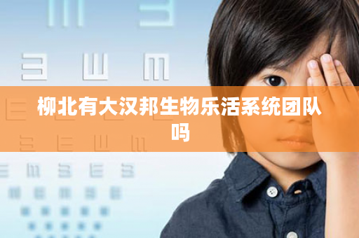 柳北有大汉邦生物乐活系统团队吗