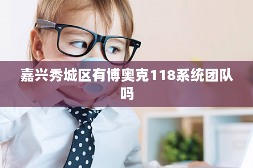 嘉兴秀城区有博奥克118系统团队吗