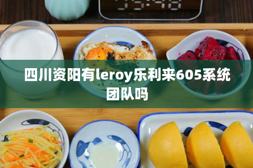 四川资阳有leroy乐利来605系统团队吗