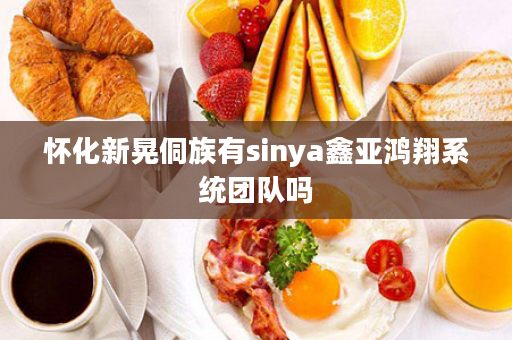 怀化新晃侗族有sinya鑫亚鸿翔系统团队吗